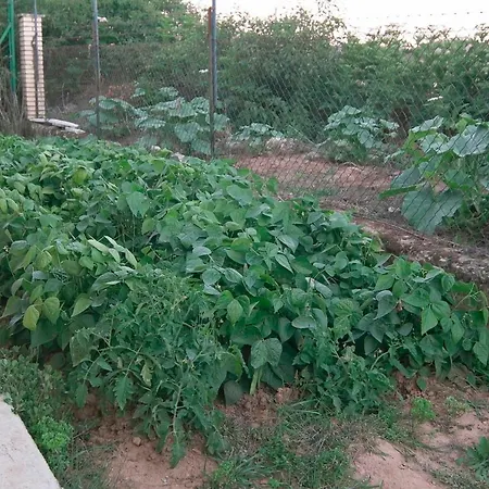 El Jardin De Manuela Villa Santibanez del Val Exterior photo