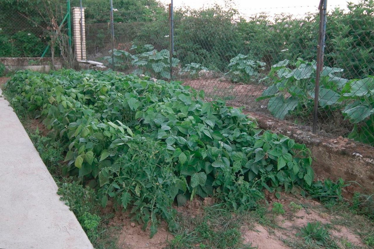 El Jardin De Manuela
