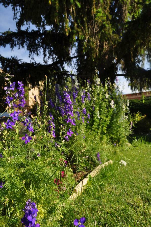 El Jardin De Manuela Holiday home *